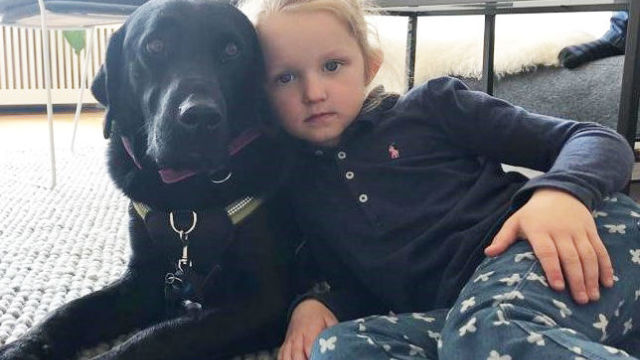 Illustrasjonsbilde til saken Epilepsihunden Winnie