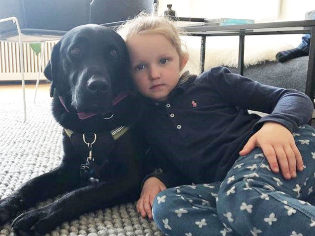 Svart epilepsihund ligger på gulvet, og fem år gammel alvorlig jente ligger inntil den.