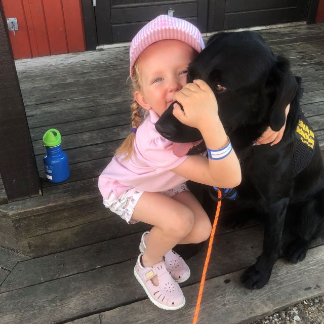 Liten jente som holder rundt en svart hund