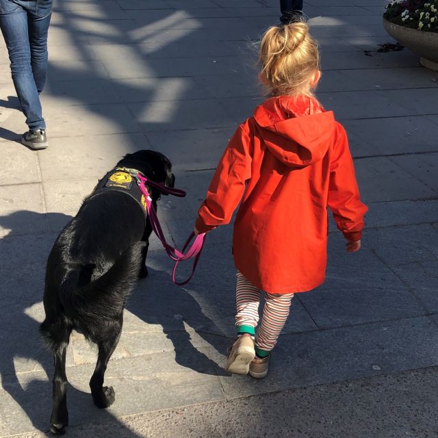 Liten jente i rød jakke og svart hund som går bortover en vei, sett bakfra