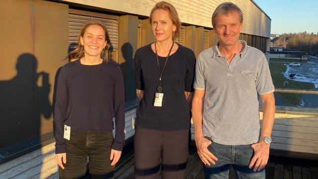Illustrasjonsbilde til saken Ny teknologi kan gi bedre behandling innenfor epilepsikirurgi