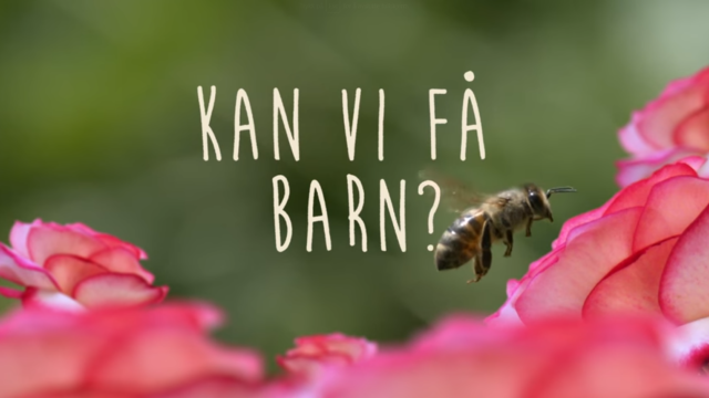 Illustrasjonsbilde til saken Kan vi få barn?