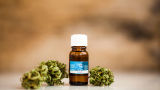 Illustrasjonsbilde til saken Cannabidiol som behandling for epilepsi