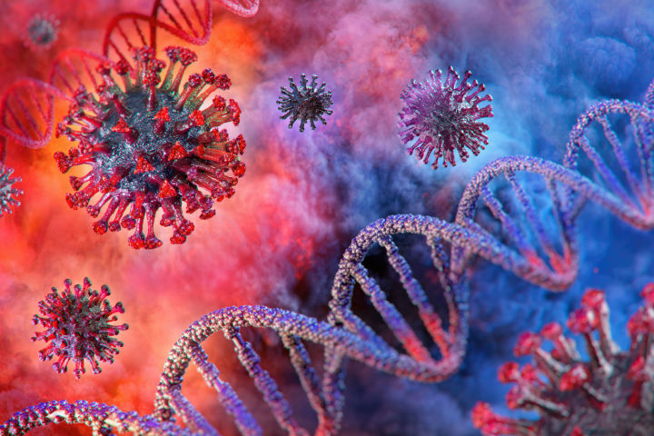 coronavirus