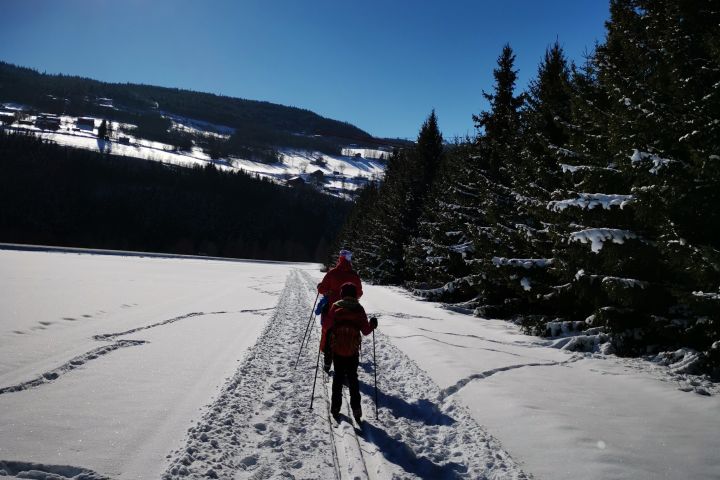 En voksen og barn som går på ski i nydelig solskinn.